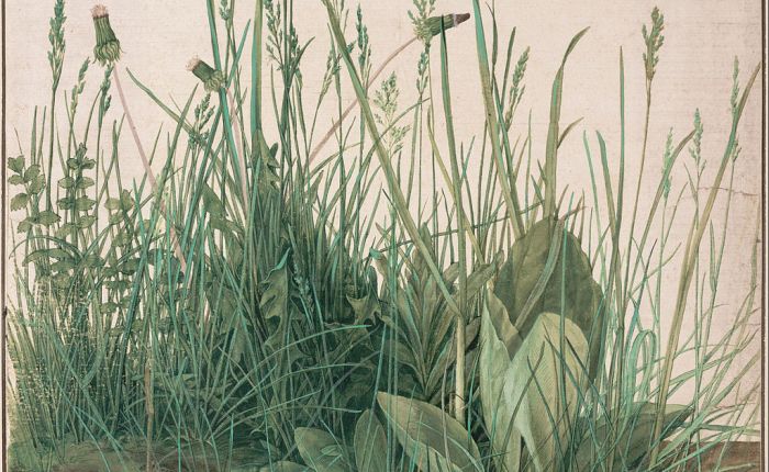 Deep in the&nbsp;Green